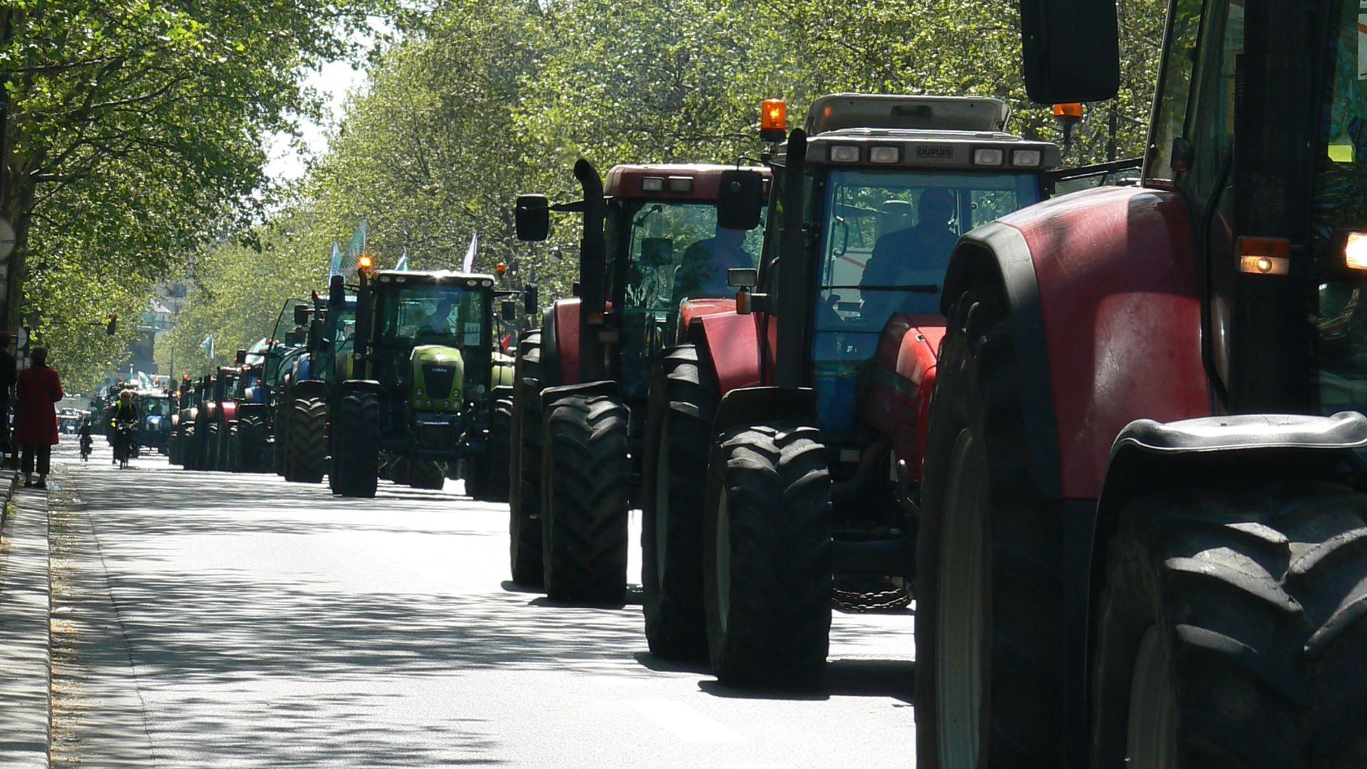 Sok traktor halad az úton.